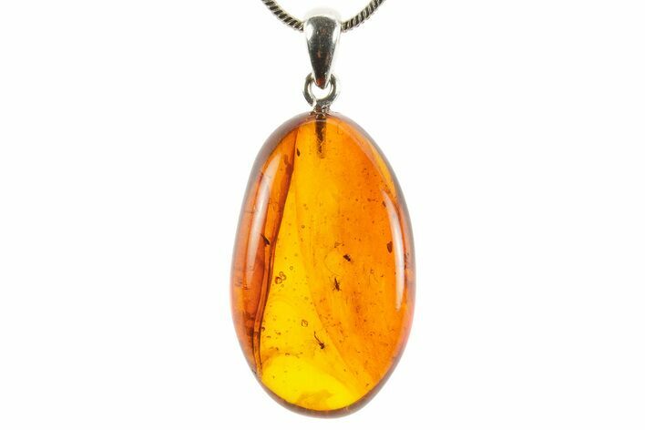 Polished Baltic Amber Pendant (Necklace) - Contains Flies! #367372